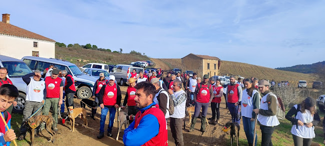 Coto de caza para eventos deportivos